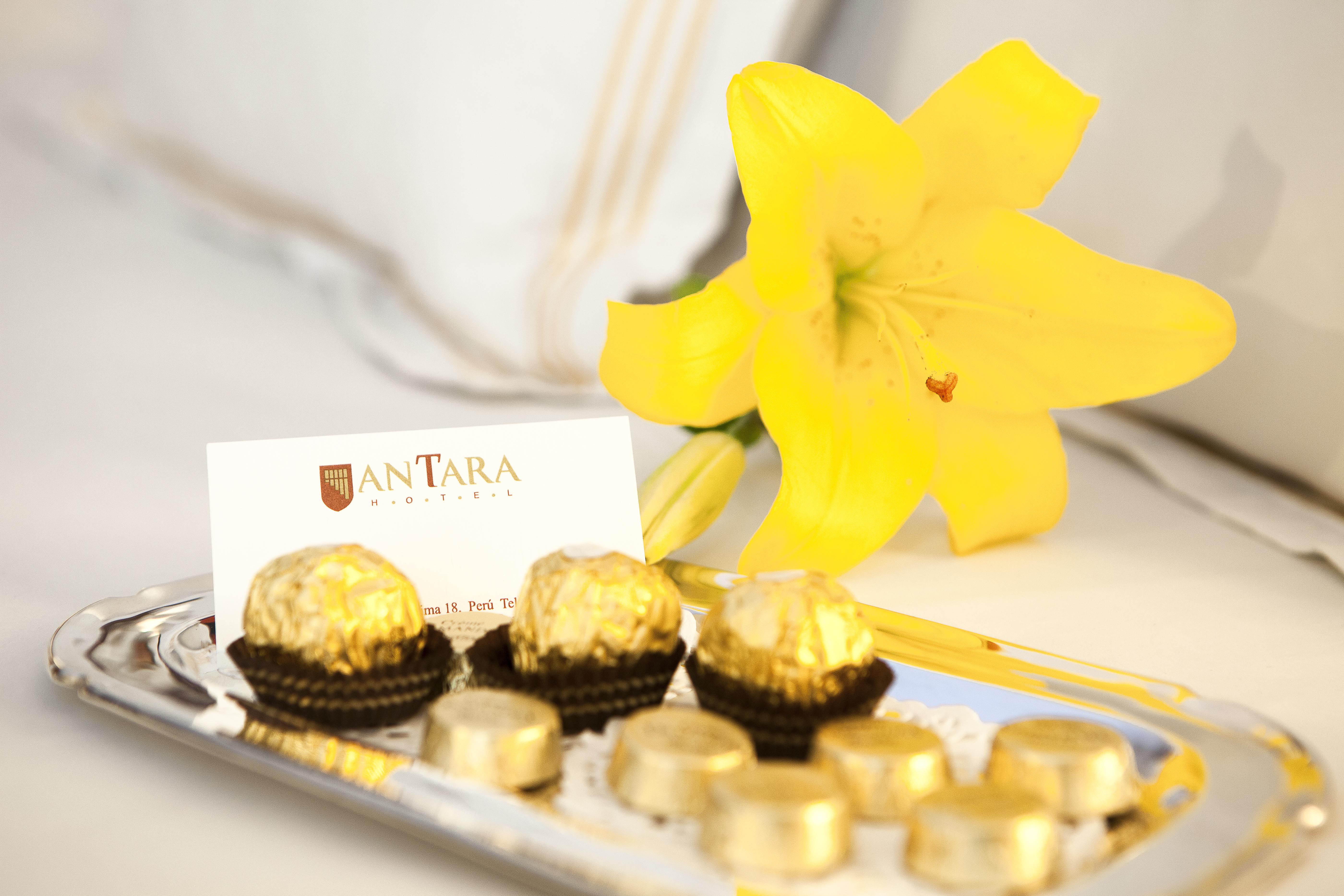 Antara Hotel & Suites - Miraflores Lima Eksteriør bilde
